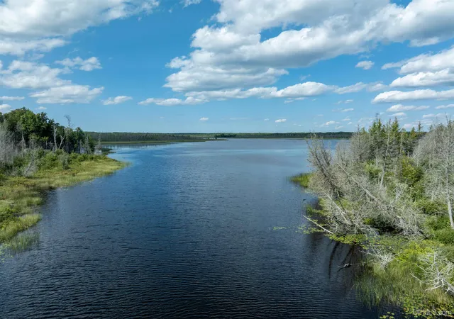 Photo 3 of Sale Pending at Tbd Gardapee Rd, Manistique, MI 49854 | MLS# 50217796 | Listing updated on 2026-08-19