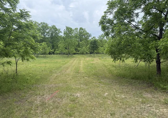 Photo 3 of Land for sale at 115 40th Street, Allegan, MI 49010 | MLS# 70546297 | Listing updated on 2026-07-17