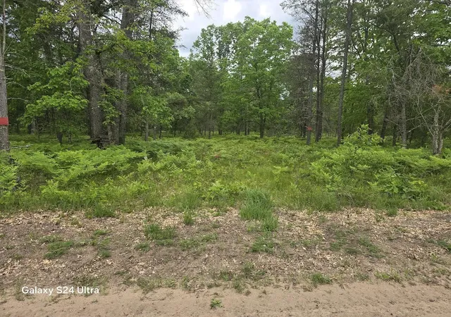 Photo 1 of Land for sale at 0000 S Forman Rd, Baldwin, MI 49304 | MLS# 70539623 | Listing updated on 2026-07-18