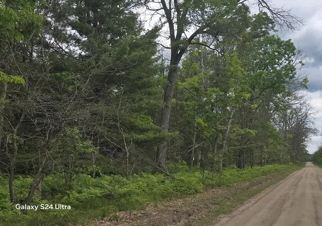 Photo 3 of Land for sale at 0000 S Forman Rd, Baldwin, MI 49304 | MLS# 70539623 | Listing updated on 2026-07-18