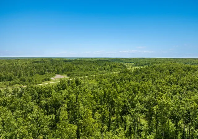 Homes for sale in Frederic, MI | 00 Mount Frederic Rd, Frederic, MI 49733 | MLS# 80070230