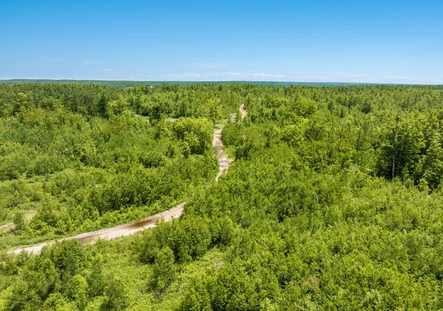Homes for sale in Frederic, MI | 00 Mount Frederic Rd, Frederic, MI 49733 | MLS# 80070230