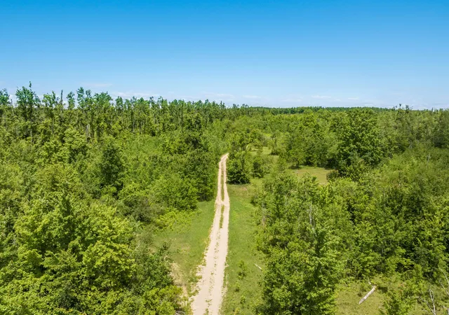 Homes for sale in Frederic, MI | 00 Mount Frederic Rd, Frederic, MI 49733 | MLS# 80070230
