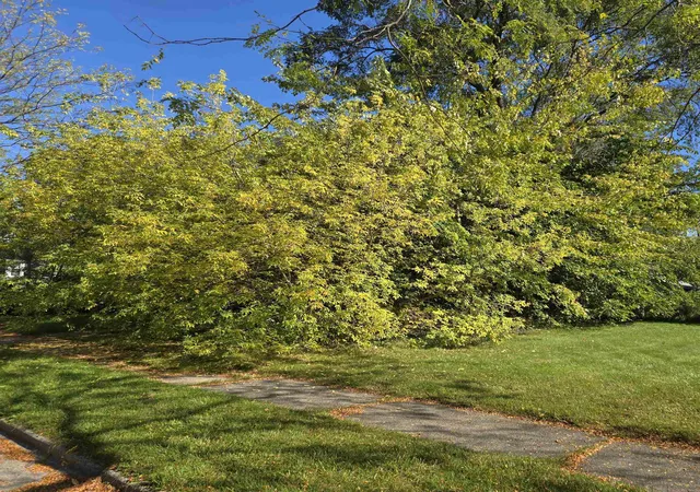Photo 3 of Land for sale at 709 Fraser St, Bay City, MI 48708 | MLS# 50191735 | Listing updated on 2025-10-16