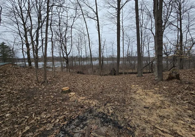 3rd image of 2480 Bluff Dr, Reading, MI 49274 | MLS# 70457855