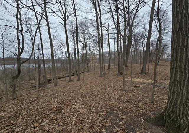 4th image of 2480 Bluff Dr, Reading, MI 49274 | MLS# 70457855