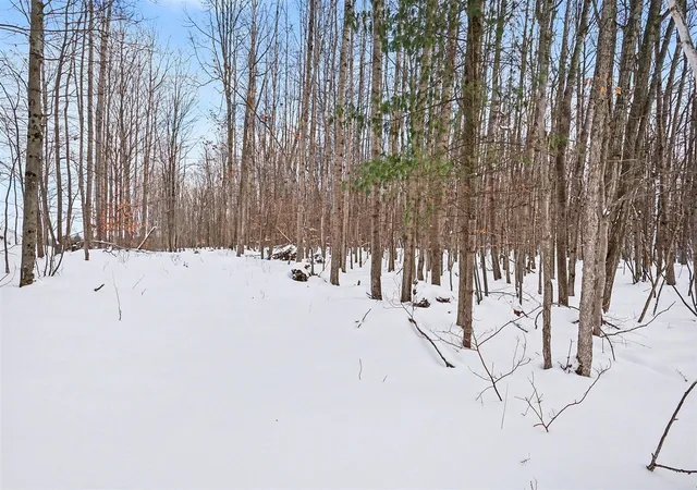 Homes for sale in Hesperia, MI | 189 Acres S 176th Ave, Hesperia, MI 49421 | MLS# 70510274