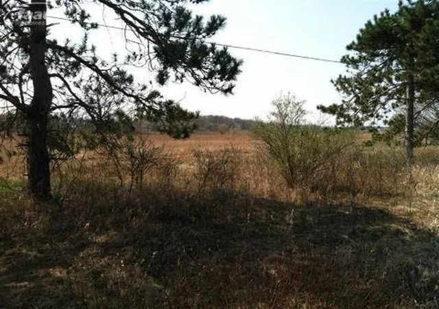 Land for sale at 0 Imlay City Rd, Lapeer, MI 48446 | MLS# 20293486 | Listing updated on 2019-02-17
