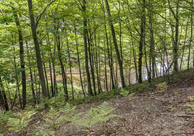 5th image of 0 Red Barn Dr, Thompsonville, MI 49683 | MLS# 80072597