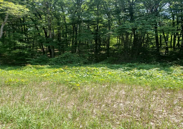 1st image of (Undisclosed), Harrison, MI 48625 | MLS# 41038961