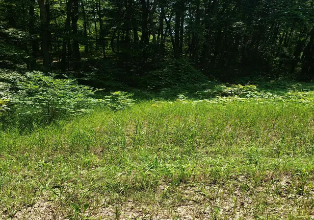 Photo 3 of Land for sale at (Undisclosed), Harrison, MI 48625 | MLS# 41038961 | Listing updated on 2026-09-07