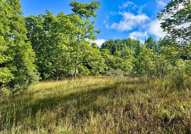 Photo 3 of Land for sale at Parcel 1 E Darga Rd, Cedar, MI 49621 | MLS# 80072923 | Listing updated on 2026-08-30
