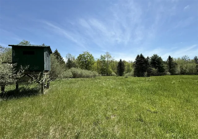 Homes for sale in Stanton, MI | Mcbride Rd, Stanton, MI 48888 | MLS# 70532568