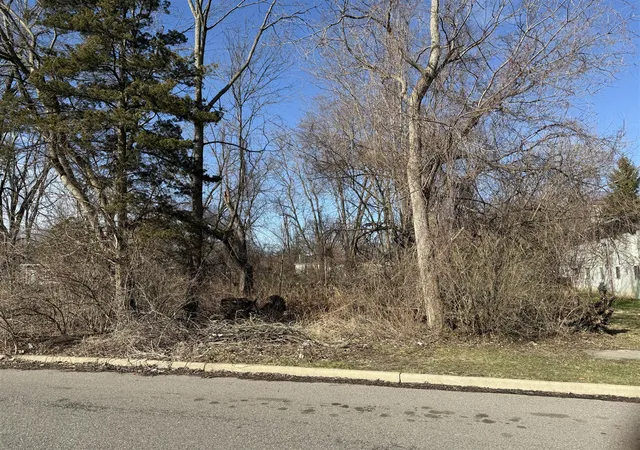 Photo 1 of Land for sale at Tromley St, Inkster, MI 48141 | MLS# 70523498 | Listing updated on 2026-07-06