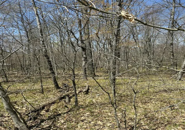 Photo 1 of Land for sale at V/l Shadowbrook Dr, Lake, MI 48632 | MLS# 70529853 | Listing updated on 2026-05-20