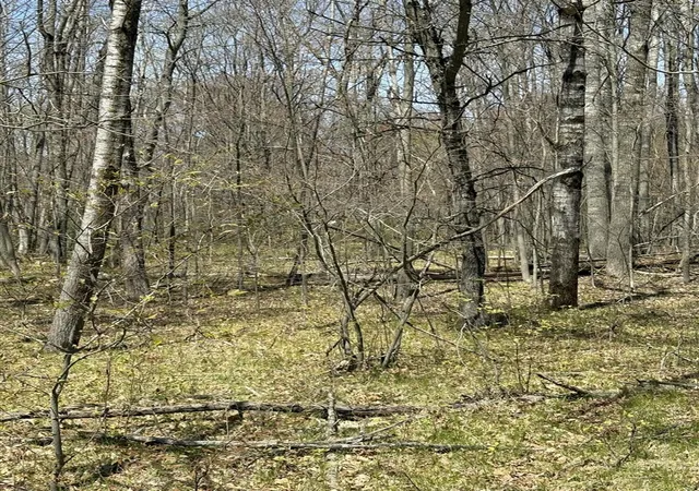 Photo 2 of Land for sale at V/l Shadowbrook Dr, Lake, MI 48632 | MLS# 70529853 | Listing updated on 2026-05-20