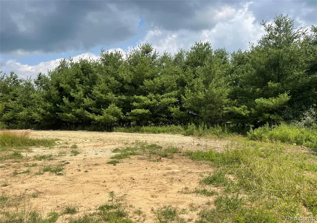 Photo 3 of Land for sale at Vacant Land Wellman Line, Yale, MI 48097 | MLS# 61016004 | Listing updated on 2026-07-29
