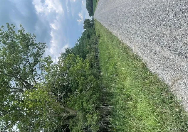 Photo 4 of Land for sale at Vacant Land Wellman Line, Yale, MI 48097 | MLS# 61016004 | Listing updated on 2026-07-29