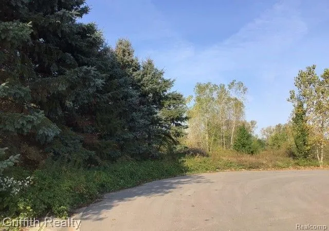 1st image of 00 Country Corner Dr, Fowlerville, MI 48836 | MLS# 60346589