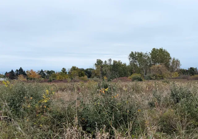 Photo 2 of Land for sale at Court St, Au Gres, MI 48703 | MLS# 80062930 | Listing updated on 2025-10-20