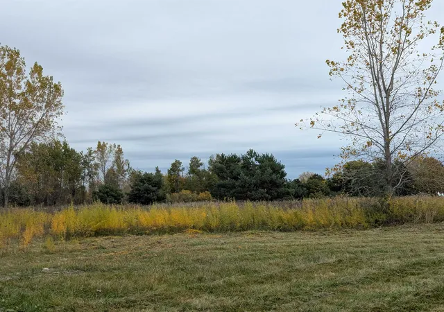 Photo 4 of Land for sale at Court St, Au Gres, MI 48703 | MLS# 80062930 | Listing updated on 2025-10-20