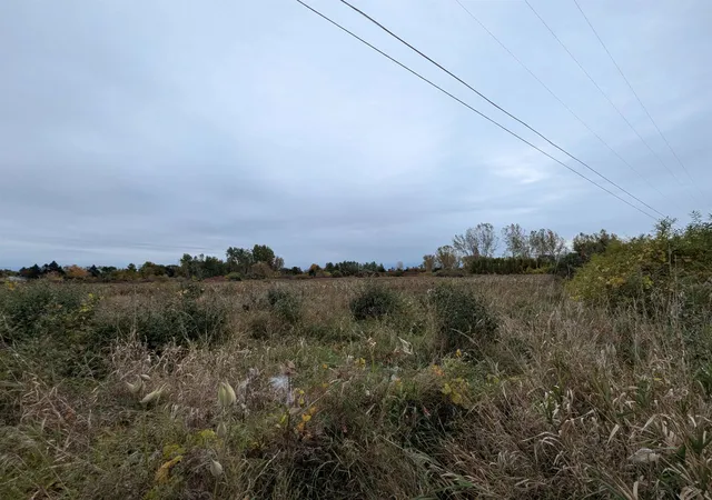 Photo 5 of Land for sale at Court St, Au Gres, MI 48703 | MLS# 80062930 | Listing updated on 2025-10-20