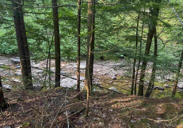 Photo 3 of Land for sale at Lot 2 (middle) M 64 Hwy, Ontonagon, MI 49953 | MLS# 50218508 | Listing updated on 2026-08-14