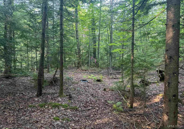 Photo 4 of Land for sale at Lot 2 (middle) M 64 Hwy, Ontonagon, MI 49953 | MLS# 50218508 | Listing updated on 2026-08-14