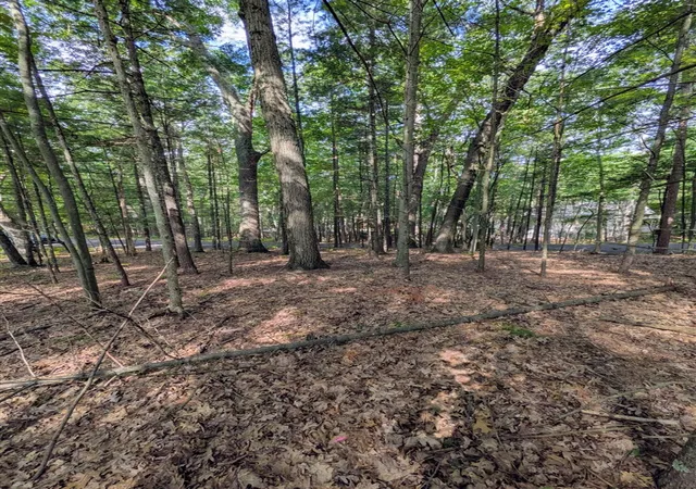3rd image of Ottawa Ln, Pentwater, MI 49449 | MLS# 70554358