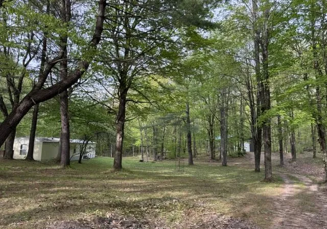 Homes for sale in Chase, MI | 40+/  Acres 48th St, Chase, MI 49623 | MLS# 70521389