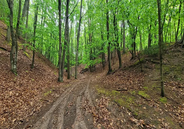 1st image of Avenue D, Pentwater, MI 49449 | MLS# 70478300
