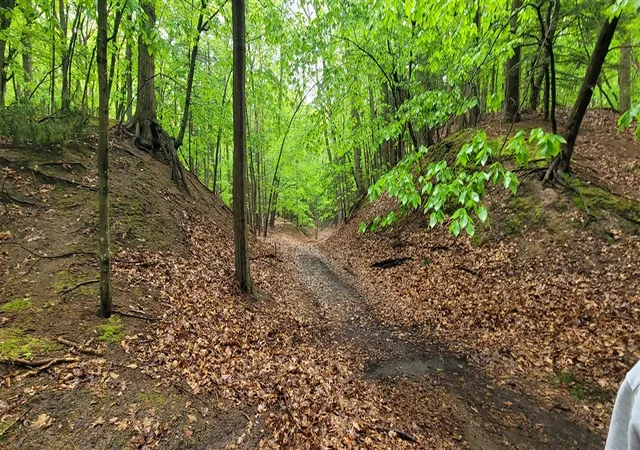 Photo 3 of Land for sale at Ave D, Pentwater, MI 49449 | MLS# 70478300 | Listing updated on 2026-06-30