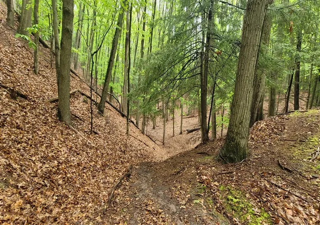 Photo 4 of Land for sale at Ave D, Pentwater, MI 49449 | MLS# 70478300 | Listing updated on 2026-06-30