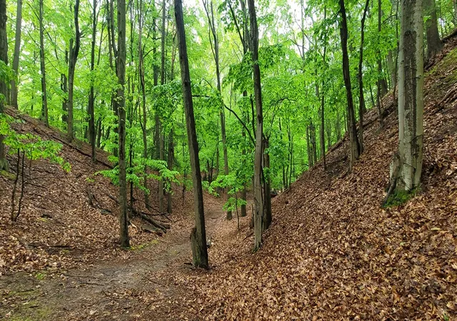 Photo 5 of Land for sale at Ave D, Pentwater, MI 49449 | MLS# 70478300 | Listing updated on 2026-06-30