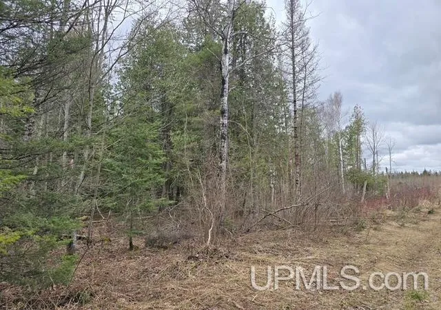 Photo 3 of Land for sale at Tbd Fence River Rd, Republic, MI 49879 | MLS# 50142527 | Listing updated on 2026-09-22