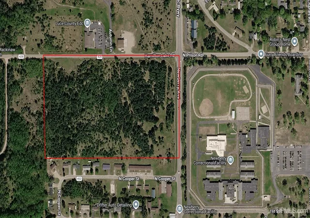 Photo 3 of Land for sale at Tbd State Hwy M 123, Newberry, MI 49868 | MLS# 50214993 | Listing updated on 2026-07-15
