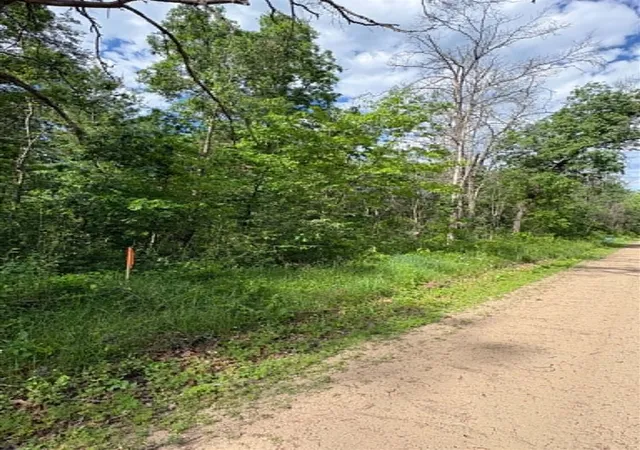 Photo 1 of Land for sale at V/l E Lynndon St, Idlewild, MI 49642 | MLS# 70515127 | Listing updated on 2026-09-15