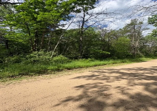 Photo 3 of Land for sale at V/l E Lynndon St, Idlewild, MI 49642 | MLS# 70515127 | Listing updated on 2026-09-15