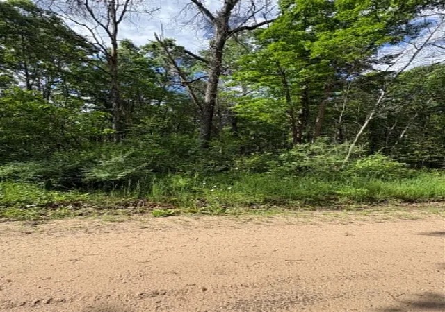 Photo 3 of Land for sale at V/l E Lynndon St, Idlewild, MI 49642 | MLS# 70515127 | Listing updated on 2026-09-15