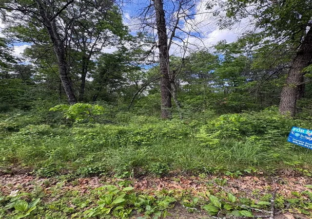 Photo 4 of Land for sale at V/l E Lynndon St, Idlewild, MI 49642 | MLS# 70515127 | Listing updated on 2026-09-15