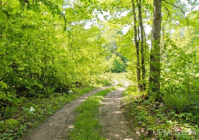 Homes for sale in Sidnaw, MI | Lots E And F Moonview Dr, Sidnaw, MI 49961 | MLS# 50207097