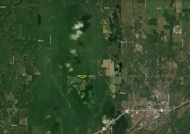 27th image of 00 7 Mile Rd, Evart, MI 49631 | MLS# 70554467