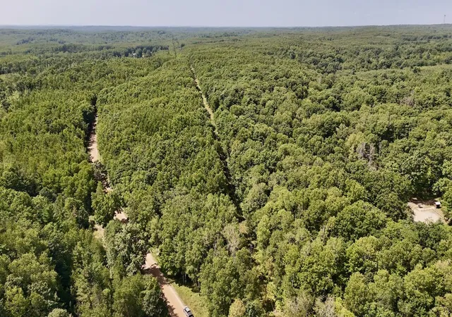 2nd image of 00 7 Mile Rd, Evart, MI 49631 | MLS# 70554467