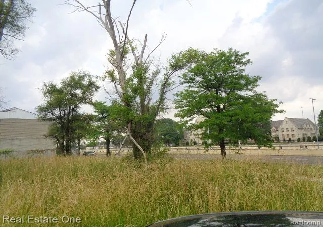 10th image of 18553 James Couzens Fwy, Detroit, MI 48235 | MLS# 60321546