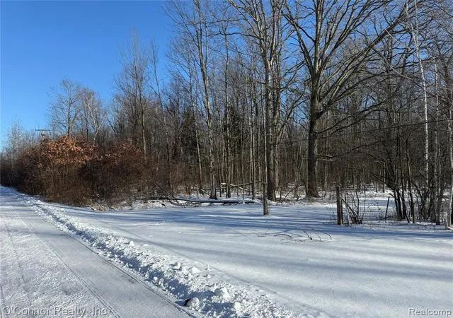 Homes for sale in Kimball, MI | 00 Smiths Creek Smiths Creek Rd, Kimball, MI 48074 | MLS# 60964808
