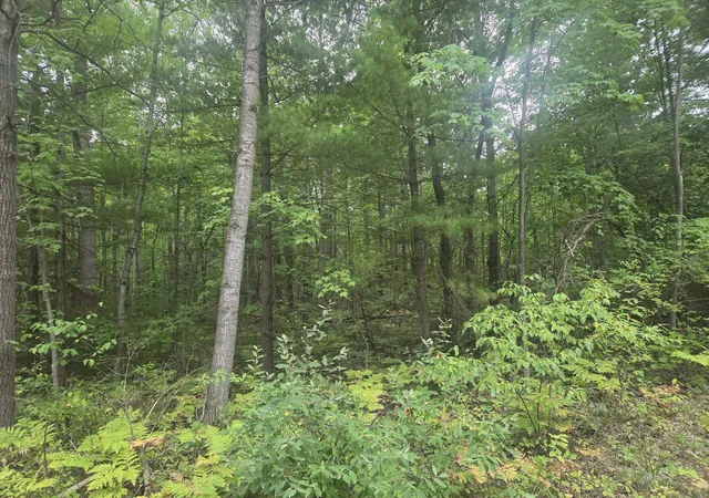 Photo 1 of Sale Pending at Tbd 45th Ave, Barryton, MI 49305 | MLS# 80072963 | Listing updated on 2026-08-31