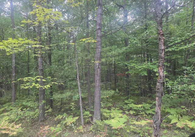Photo 2 of Sale Pending at Tbd 45th Ave, Barryton, MI 49305 | MLS# 80072963 | Listing updated on 2026-08-31