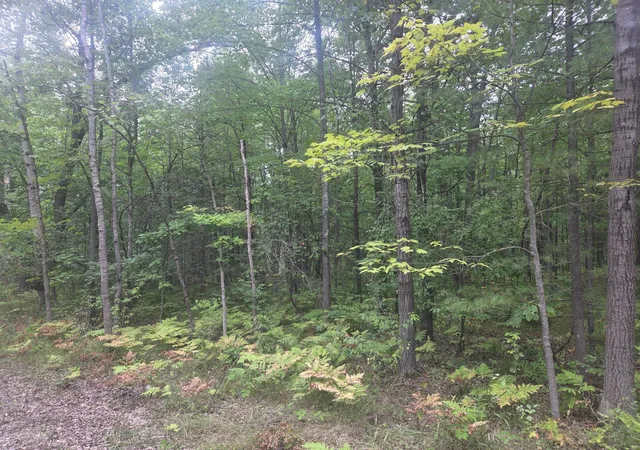 Photo 3 of Sale Pending at Tbd 45th Ave, Barryton, MI 49305 | MLS# 80072963 | Listing updated on 2026-08-31