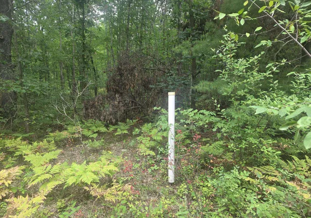 Photo 3 of Sale Pending at Tbd 45Th Ave, Barryton, MI 49305 | MLS# 80072963 | Listing updated on 2026-08-31