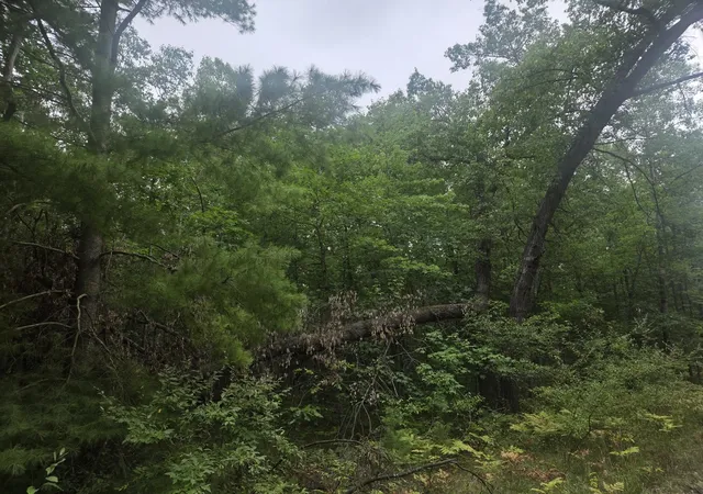 Photo 4 of Sale Pending at Tbd 45Th Ave, Barryton, MI 49305 | MLS# 80072963 | Listing updated on 2026-08-31